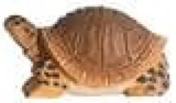 Discount Schildpad 40704 Bosdieren|Reptielen