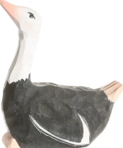 Best Struisvogel 41000 Vogels|Vogels