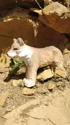 Sale Wolf 40468 Wilde Dieren|Hondachtigen