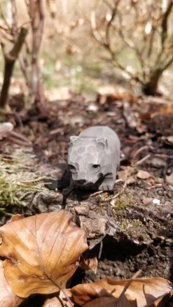 Hot Wombat 40710 Bosdieren|Buideldieren