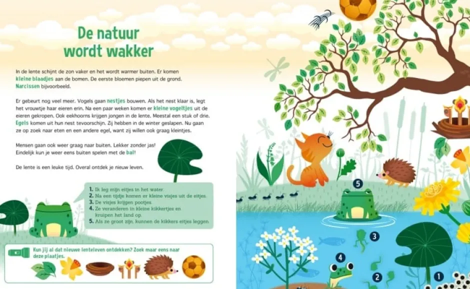 Zaklampboek Ontdek de seizoenen Bekijk Alles